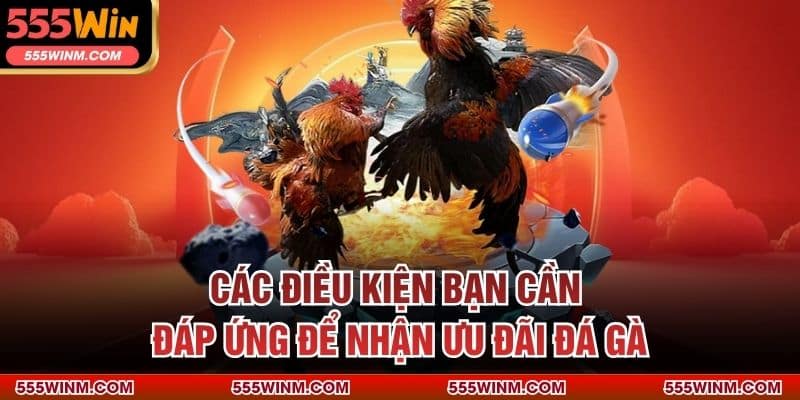 Các điều kiện bạn cần đáp ứng để nhận ưu đãi đá gà