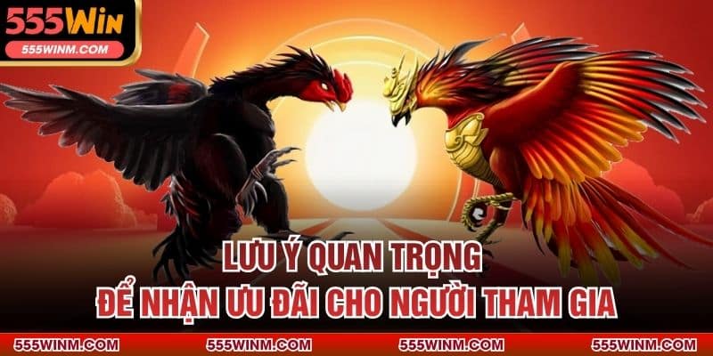 Lưu ý quan trọng để nhận ưu đãi cho người tham gia