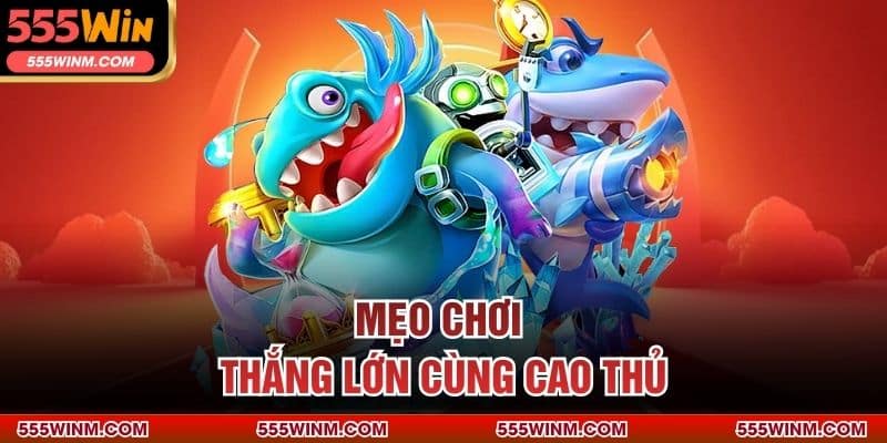 Mẹo chơi thắng lớn cùng cao thủ