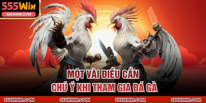 Một vài điều cần chú ý khi tham gia đá gà