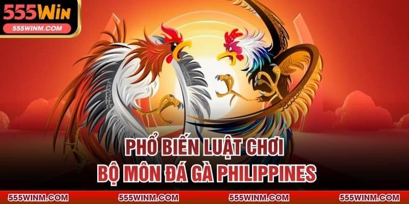 Phổ biến luật chơi bộ môn đá gà Philippines