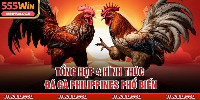 Tổng hợp 4 hình thức đá gà Philippines phổ biến